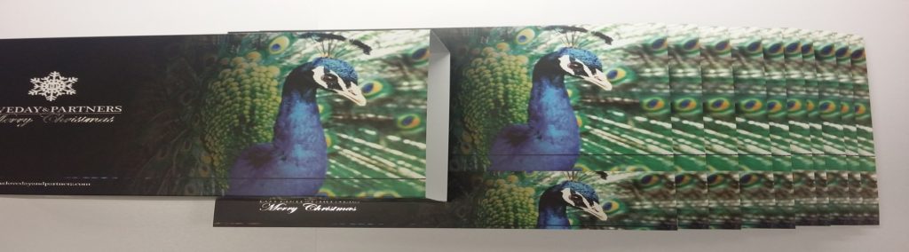 Litho Box Sleeve with Silver Foil