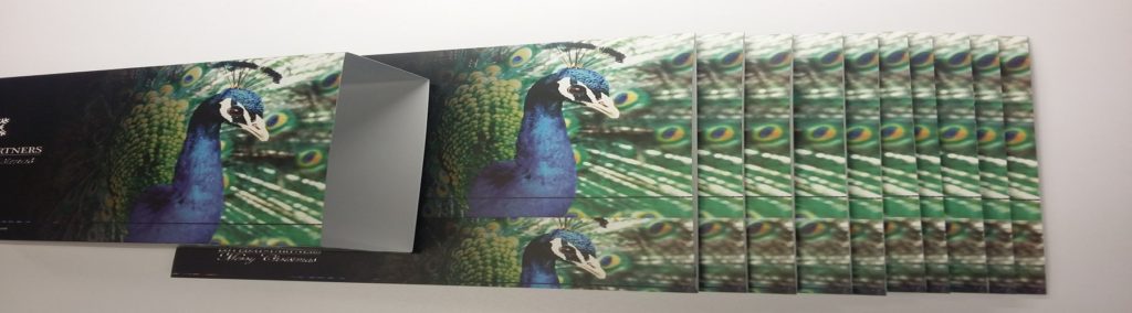 Litho Box Sleeve with Silver Foil