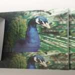 litho-slider-3