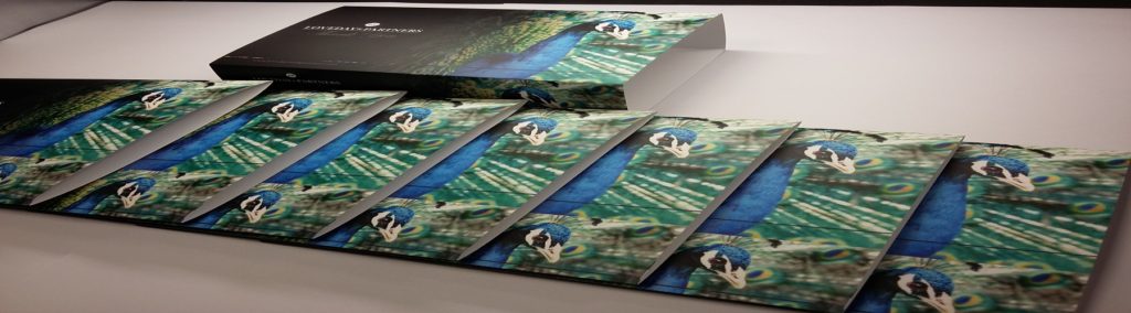 Digital Box Sleeves