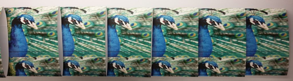 Digital Box Sleeves